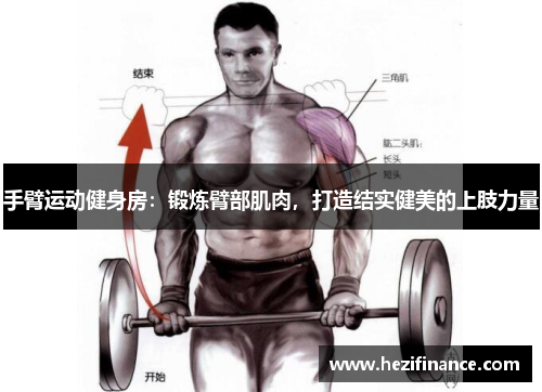 手臂运动健身房：锻炼臂部肌肉，打造结实健美的上肢力量