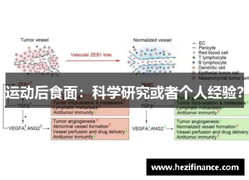 运动后食面：科学研究或者个人经验？